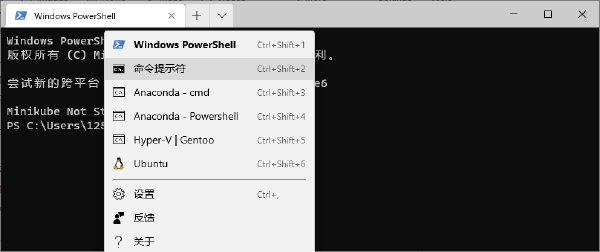 我的Windows Terminal